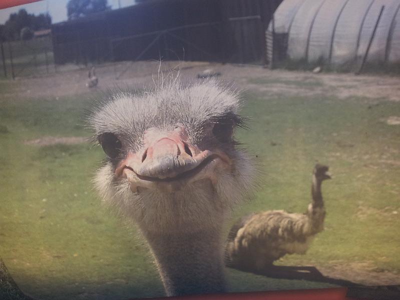 20140920_180519.jpg - User comments